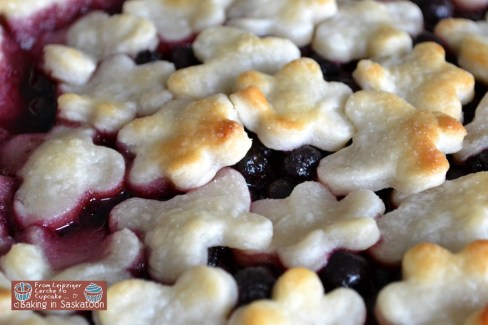 Details on baked pie crust