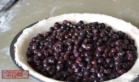 Filled pie without top crust on work surface