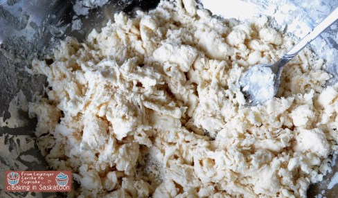 Crumbly pie dough in a bowl